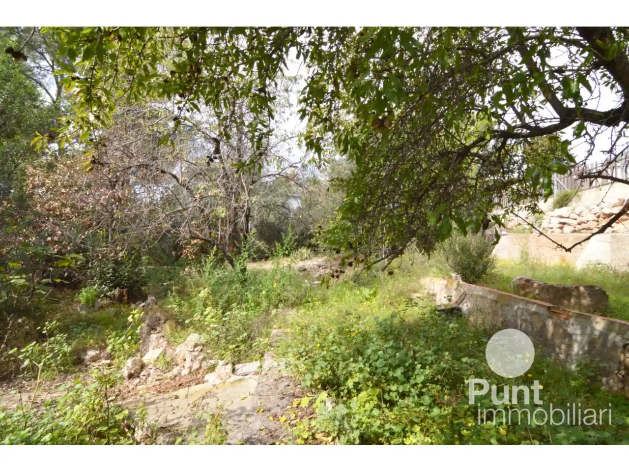 Rural land for sale in Pallejà, imagen 3