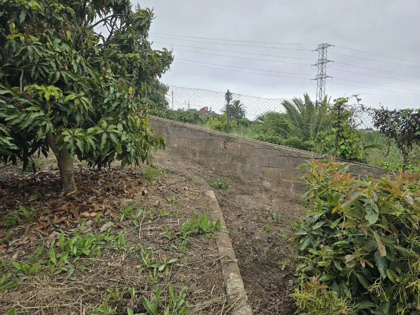 Casa o xalet en venda en Tacoronte amb Balcó