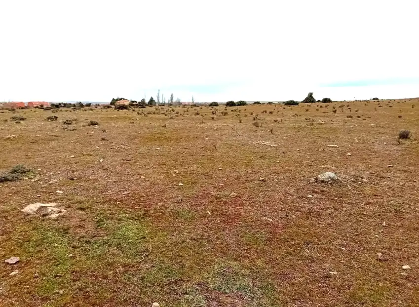 Terreni e lotti in vendita a PALAZUELOS-SAN ILDEFONSO 26, imagen 7