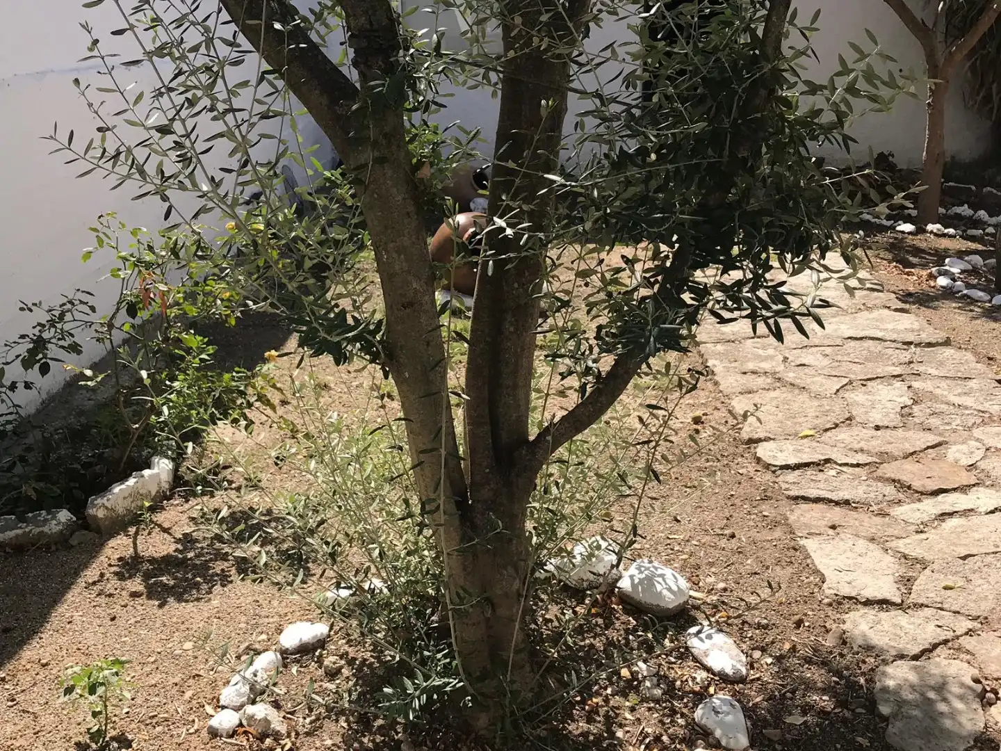 Habitatge amb jardí en venda a Calle Huesca 18, imagen 93