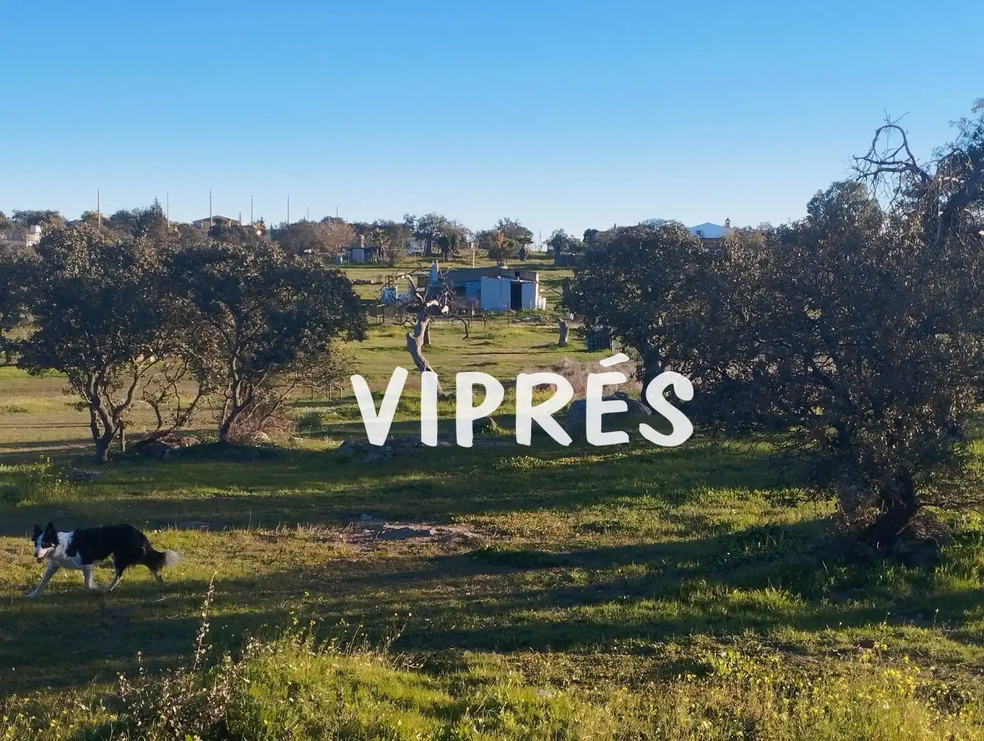 Casa in vendita a Valverde de Mérida, imagen 15
