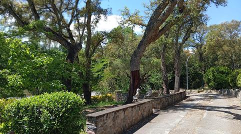 Photo 3 of Premises for sale in Vial Camino, Sant Feliu de Buixalleu, Girona