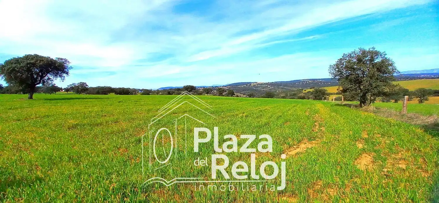 Terreno rustico in vendita a CERVANTES 0, imagen 3