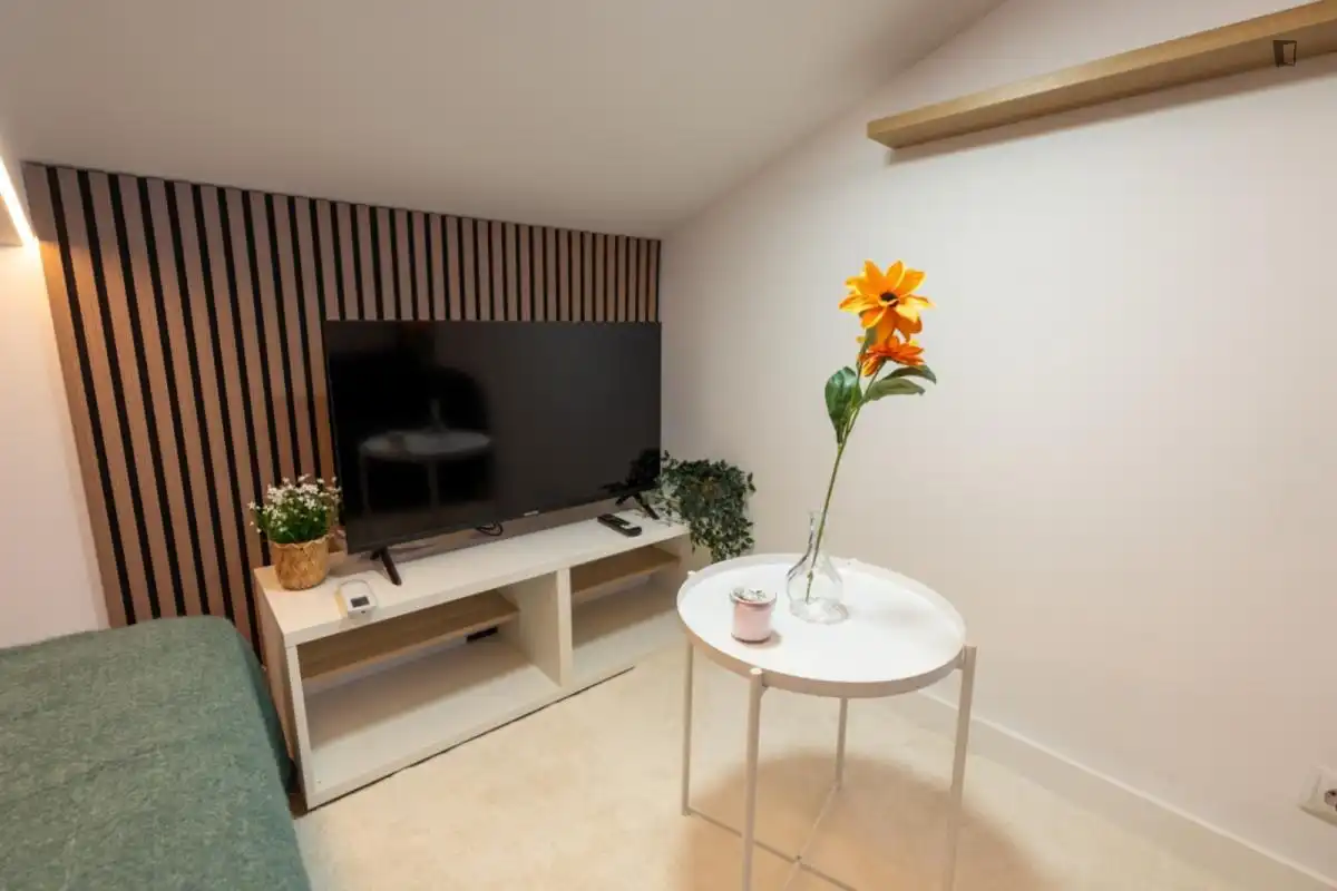 Wohnzimmer von Wohnung zur Miete in Madrid mit Klimaanlage, Möbliert und Waschmaschine