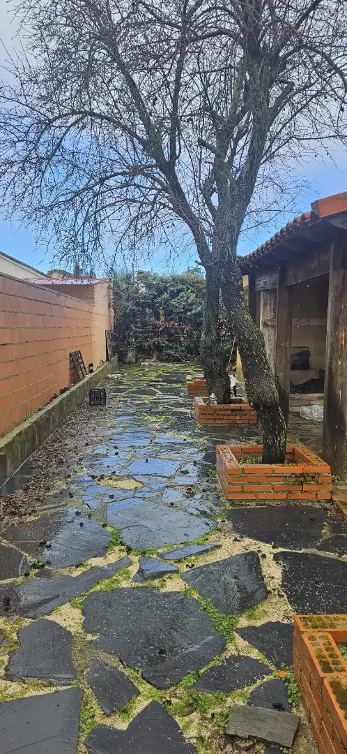 Jardí de Casa o xalet en venda en Villar del Olmo amb Jardí privat i Piscina