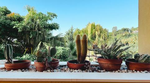 Foto 2 de Pis en venda a Marbella - Marbella,reserva de Marbella,avenida la, Reserva de Marbella, Marbella