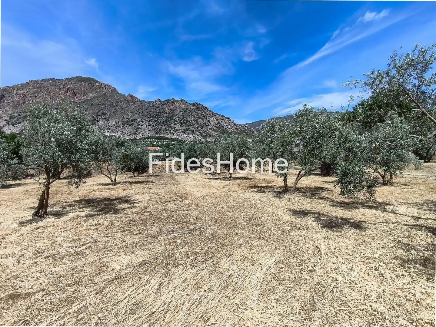 Rural land for sale in XFJ3+526 Nigüelas 0, imagen 18