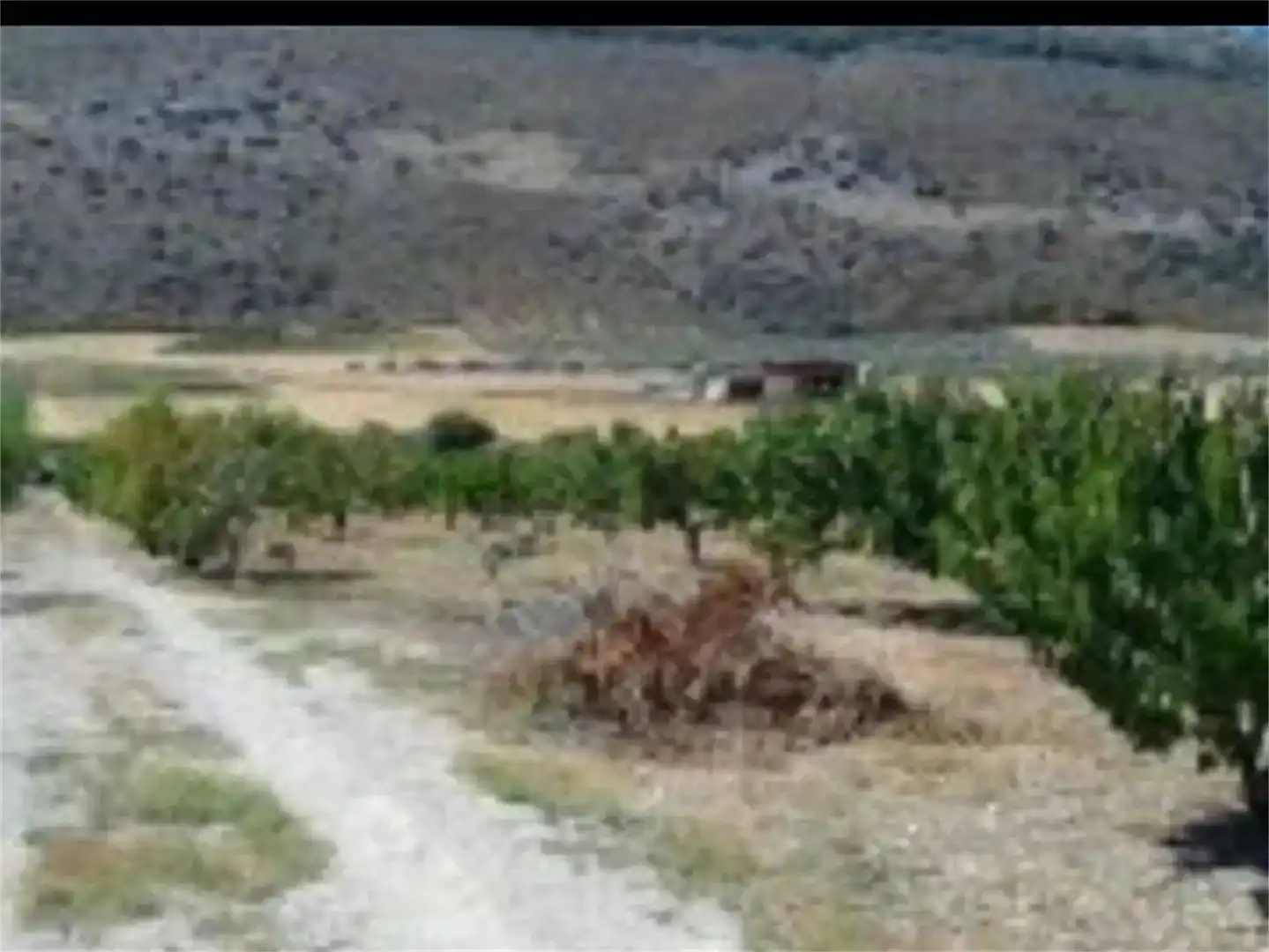 Land for sale in Alfarnate