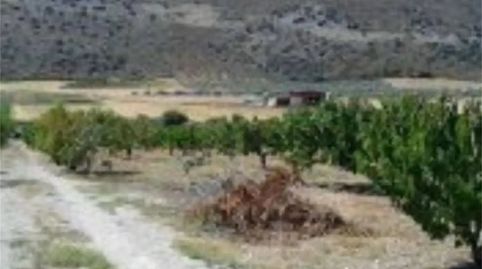 Photo 5 of Land for sale in Alfarnate, Málaga