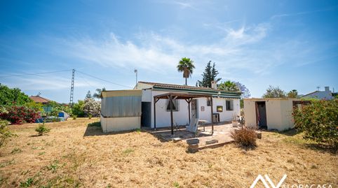 Foto 2 de Finca rústica en venta en Calle Navarra, 32, Cártama pueblo, Cártama