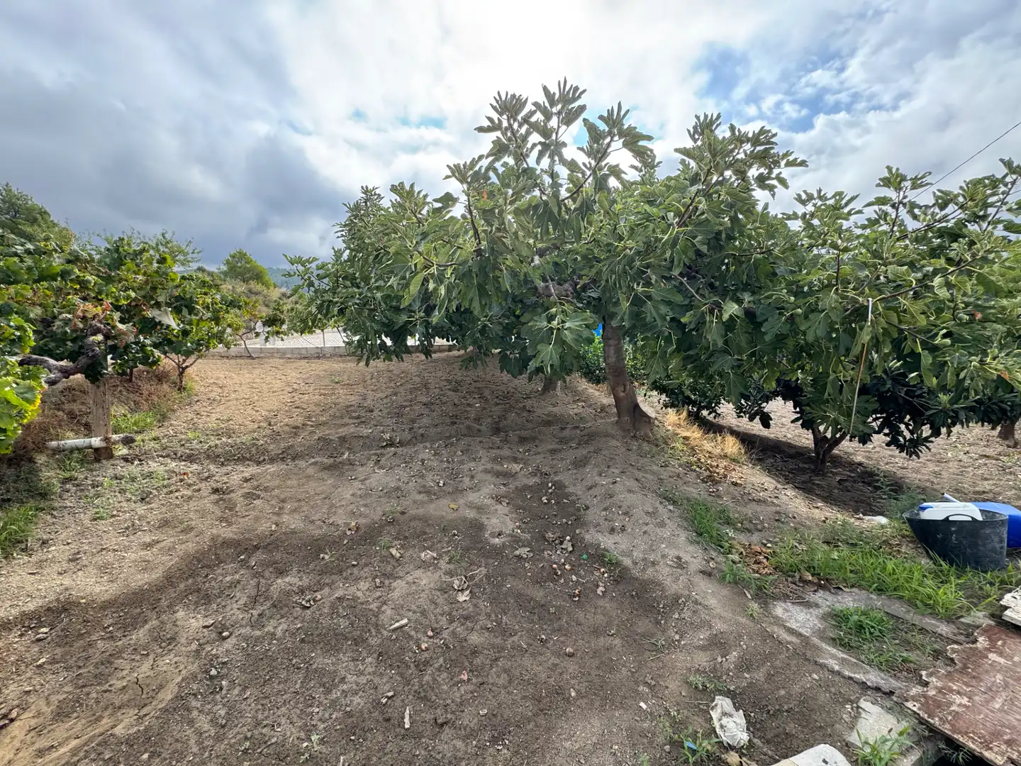 Villa avec terrasse à vendre à Carretera de Murcia 13, imagen 17