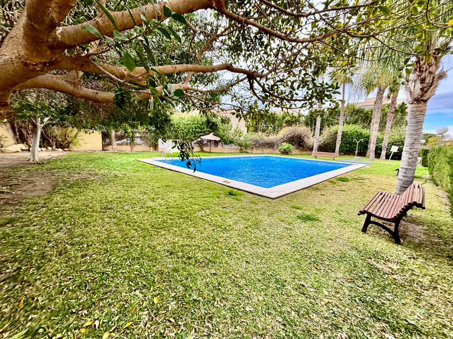 Adossat amb piscina en venda a Avenida Pintor Fernando Soria, imagen 73