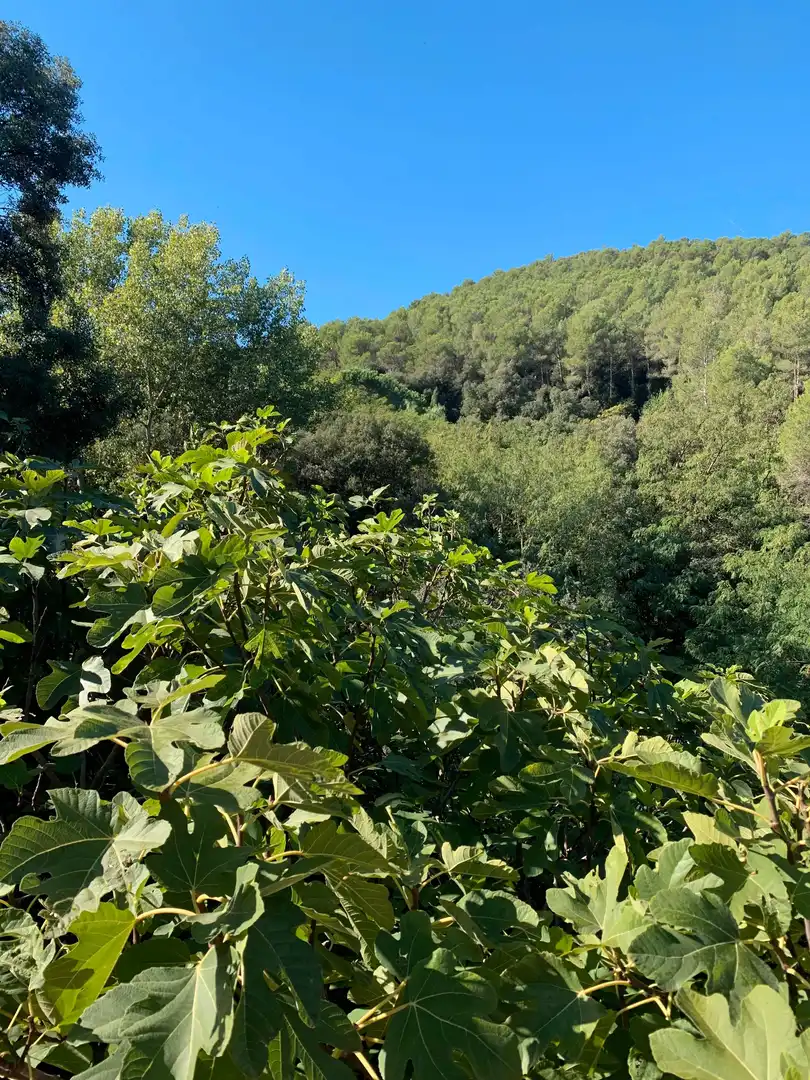 Casa o xalet en venda en Girona amb Jardí privat, Parquet i Terrassa