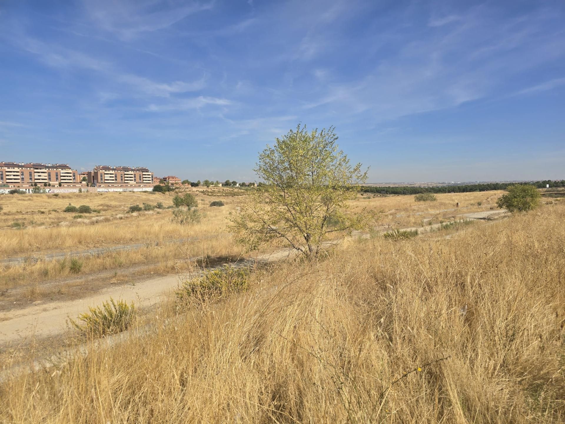 Terreny industrial en venda en Navalcarnero