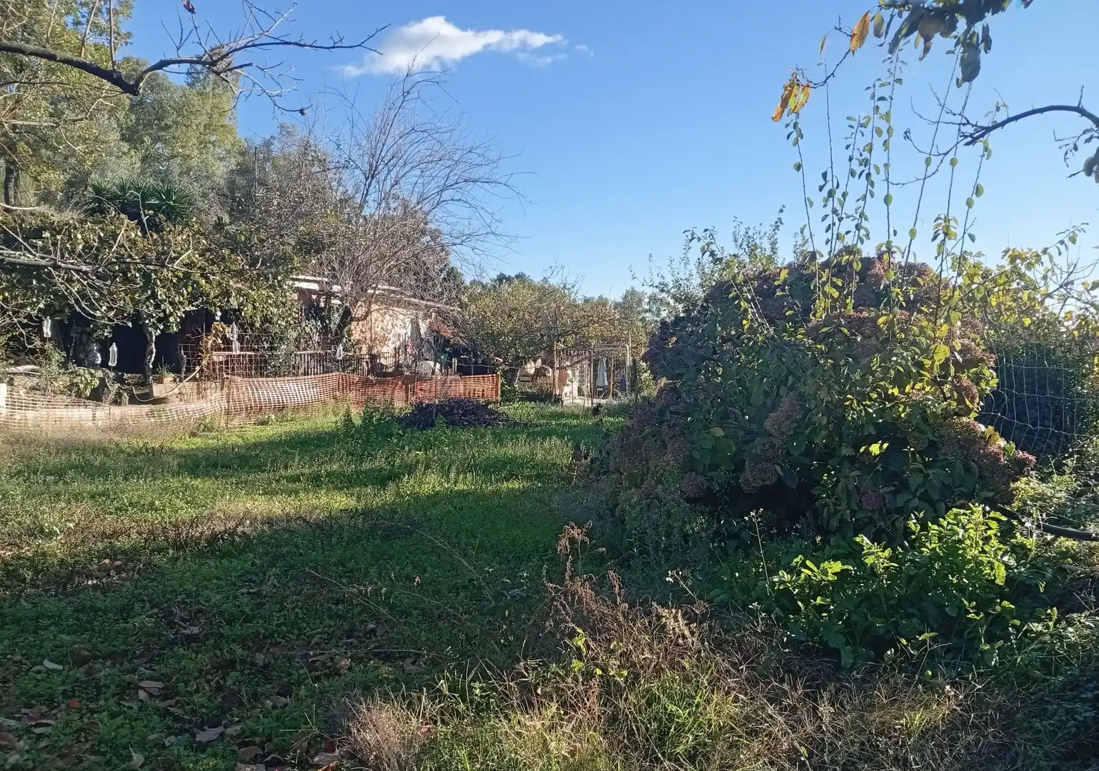 Terreni e lotti in vendita a Villanueva de la Vera, imagen 42