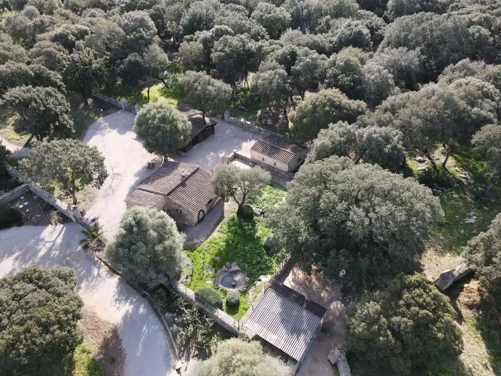 Vista exterior de Finca rústica en venta en Pollença con Aire acondicionado, Calefacción y Piscina