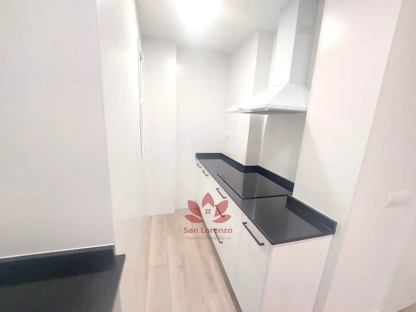Pis de lloguer a Pº de la Castellana, Almenara -Ventilla