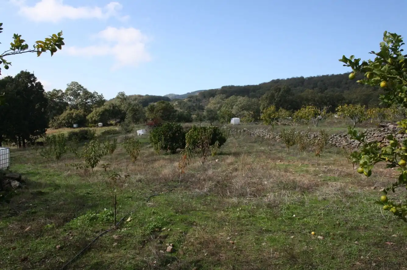 Finca rústica en venta en Torremenga con Jardín privado, Terraza y Amueblado