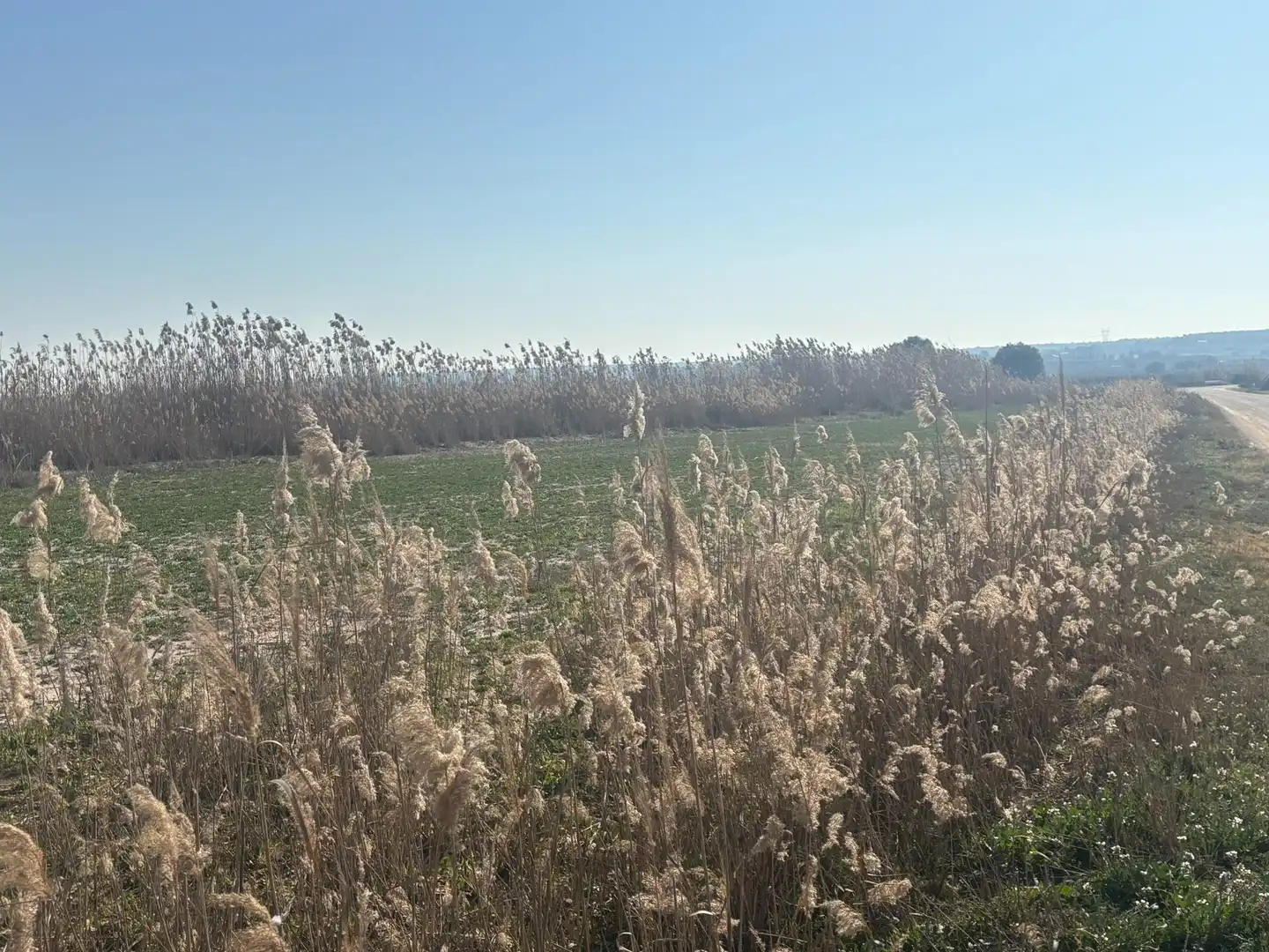 Terrain rustique à vendre à La Foia - Daimés - Asprella, imagen 27