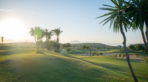 Photo 5 of Attic for sale in N/a, Jacarilla, Alicante