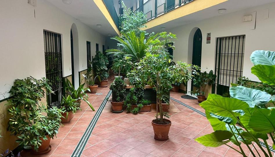 Photo 1 of Duplex to rent in Calle Jerónimo Hernández, Encarnación - Regina, Sevilla