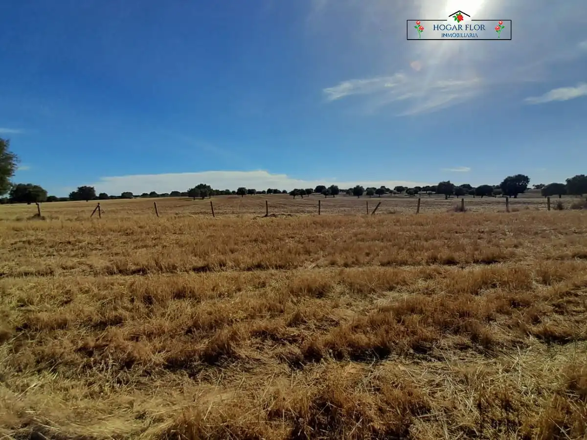 Finca rústica en venta en Carrascal del Obispo
