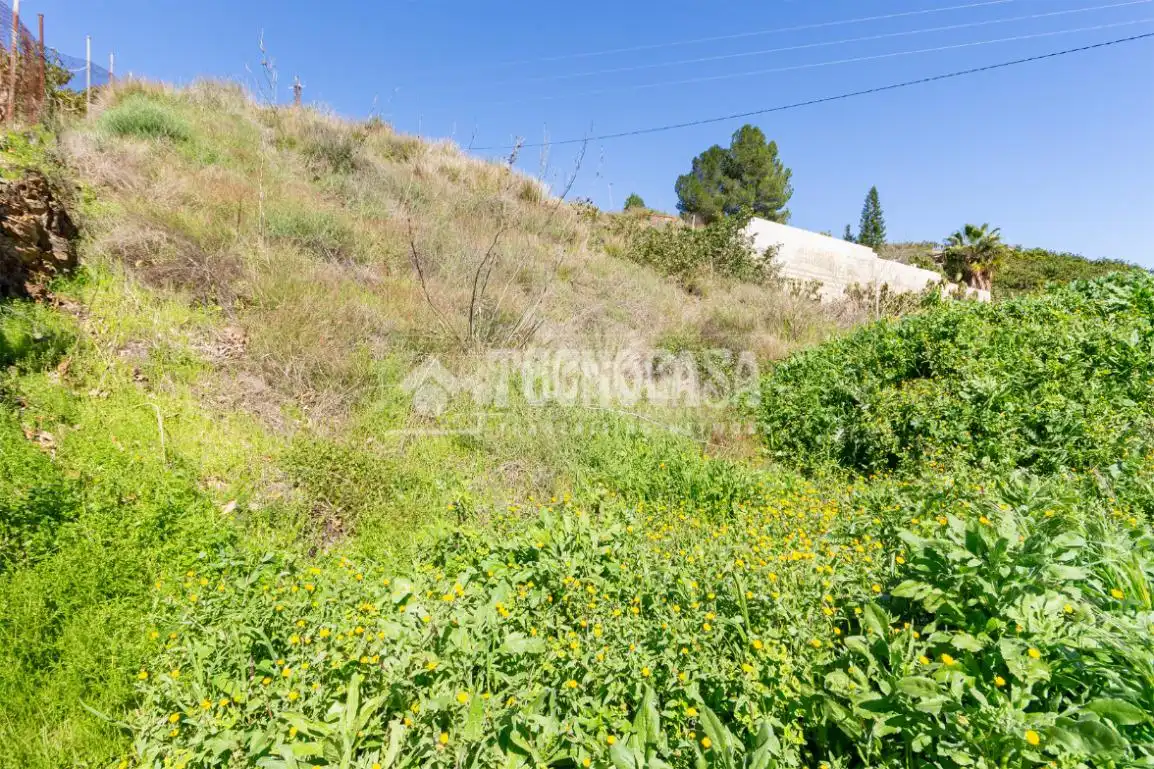 Terreno rústico en venta en Vélez-Málaga ciudad, imagen 5