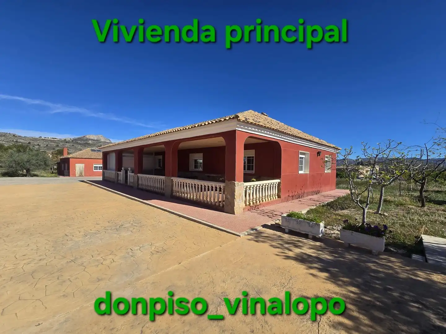Vista exterior de Finca rústica en venda en Elda amb Calefacció i Piscina