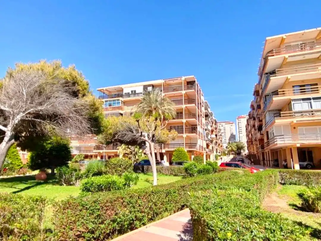 Wohnung mit Pool zur Miete in Carrer Novelda 2, imagen 30