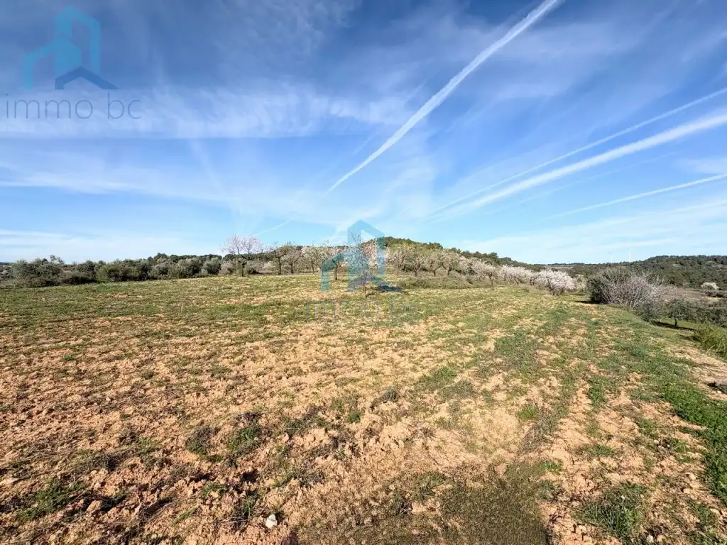 Finca rústica en venta en Gandesa