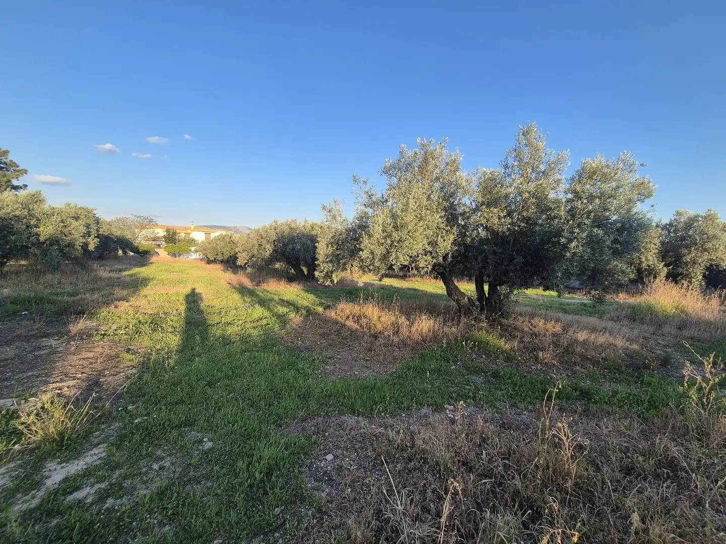 Terrain résidentiel à vendre à Pantano de Cubillas, imagen 8