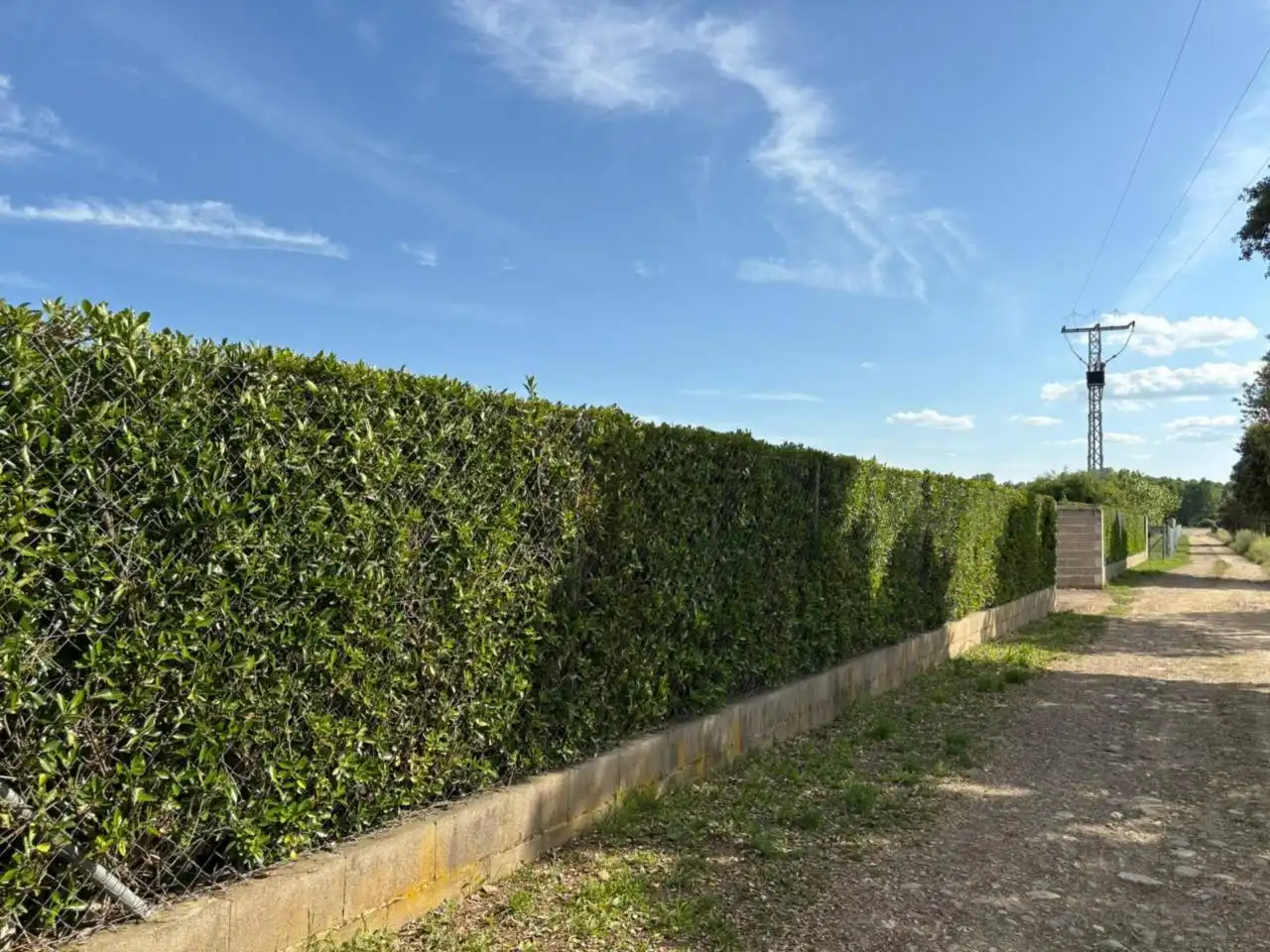Terreno residenziale in vendita a Poligono 24, imagen 2