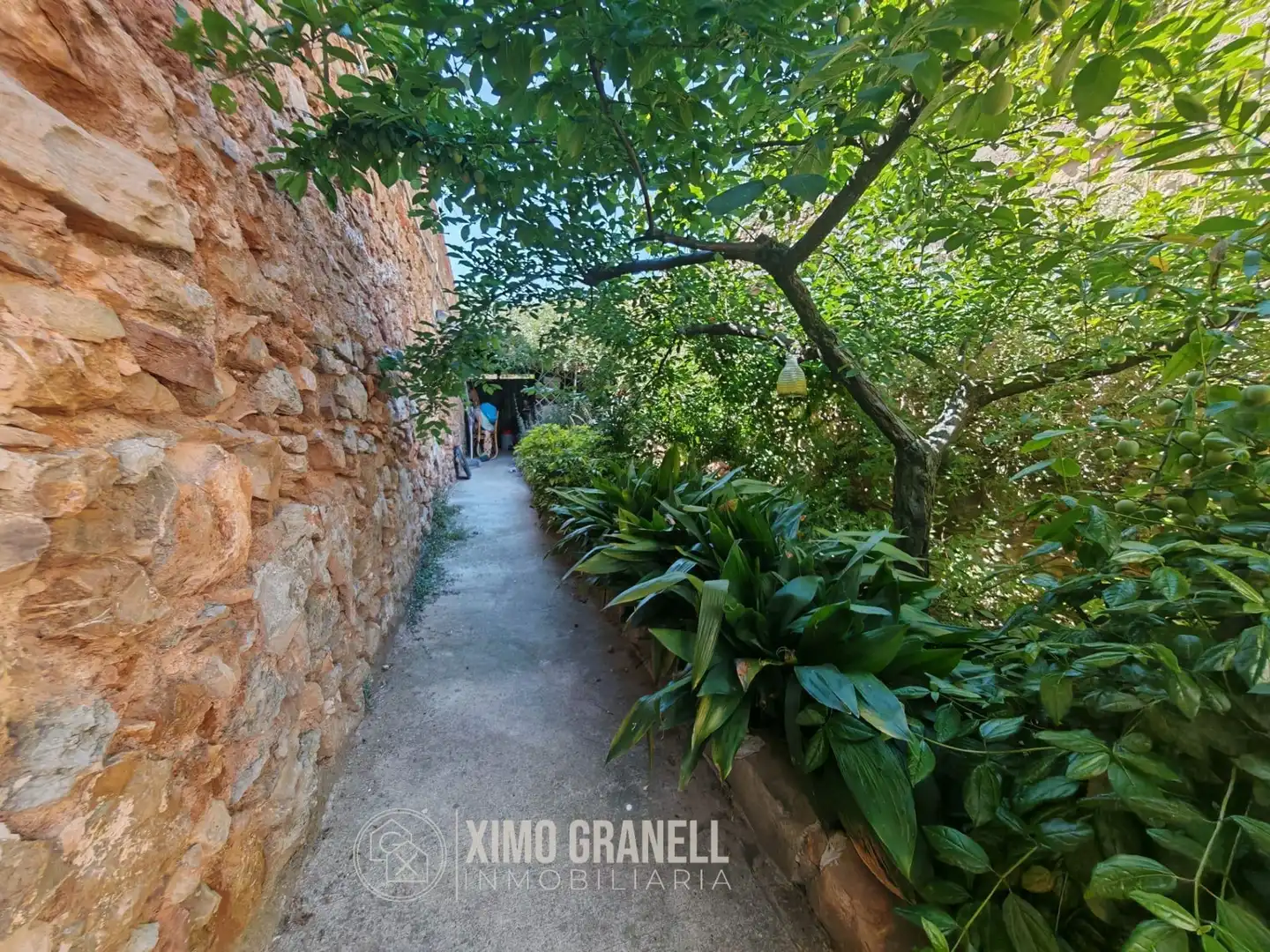 Jardí de Casa o xalet en venda en Alfondeguilla amb Calefacció, Jardí privat i Terrassa