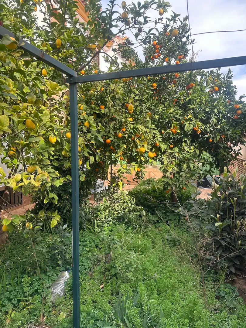 Casa amb terrassa en venda a Cájar, imagen 26