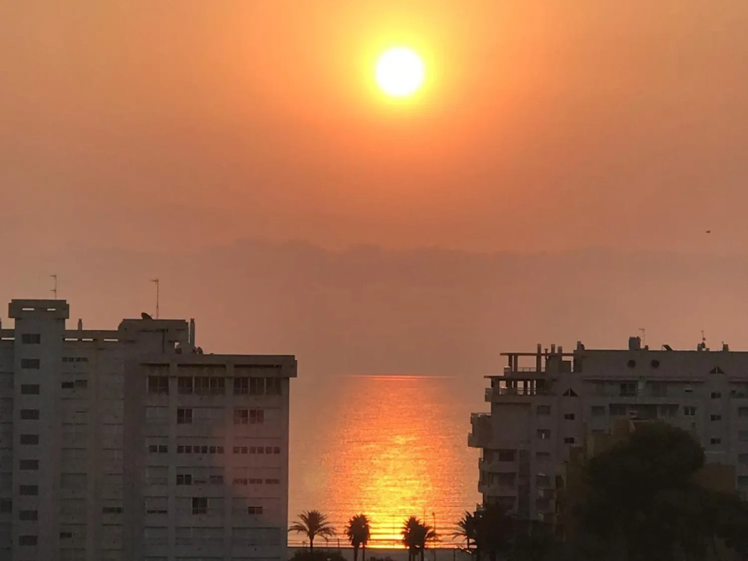 Flat to rent in Playa de San Juan, Playa de San Juan - El Cabo de las Huertas