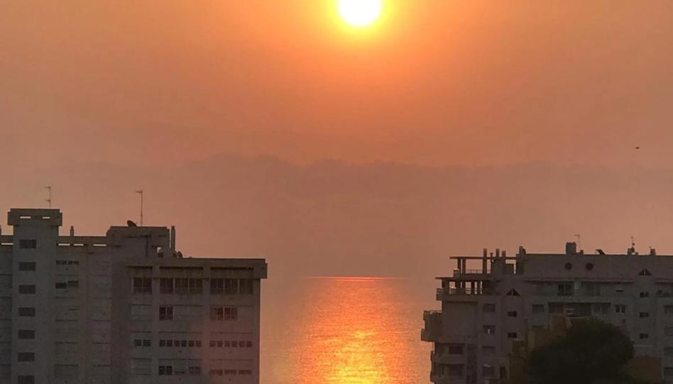 Photo 1 of Flat to rent in Playa de San Juan, Alicante