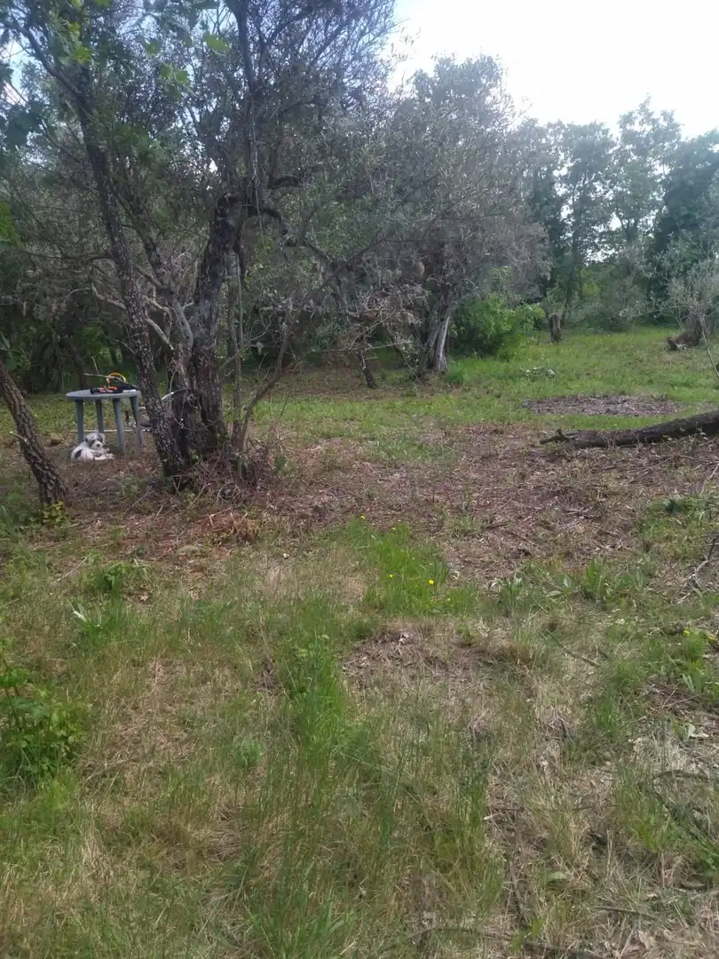 Terreni e lotti in vendita a Villanueva de la Vera, imagen 19
