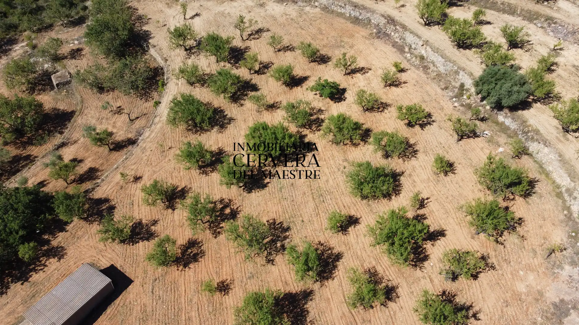 Rural land for sale in Cervera del Maestre, imagen 25