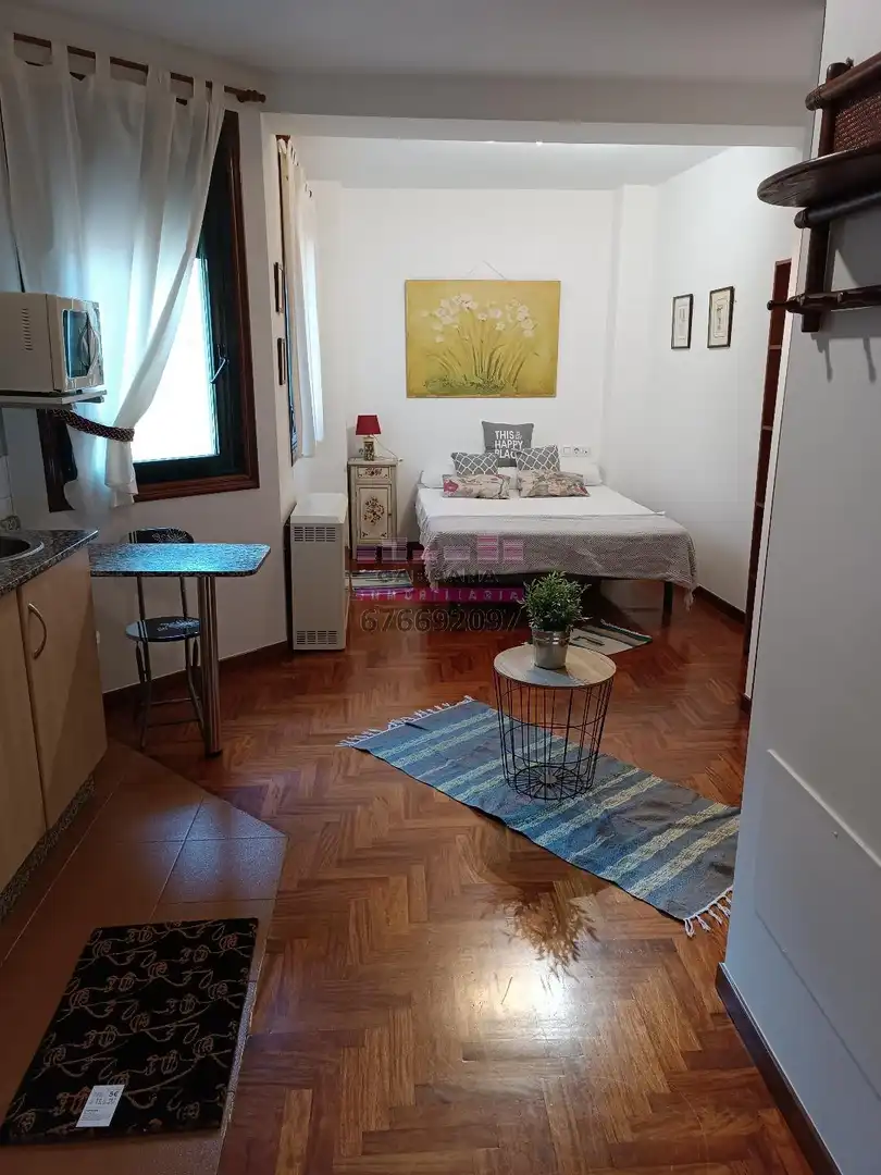 Study for rent in Rúa do Areal, 88, Centro - Areal