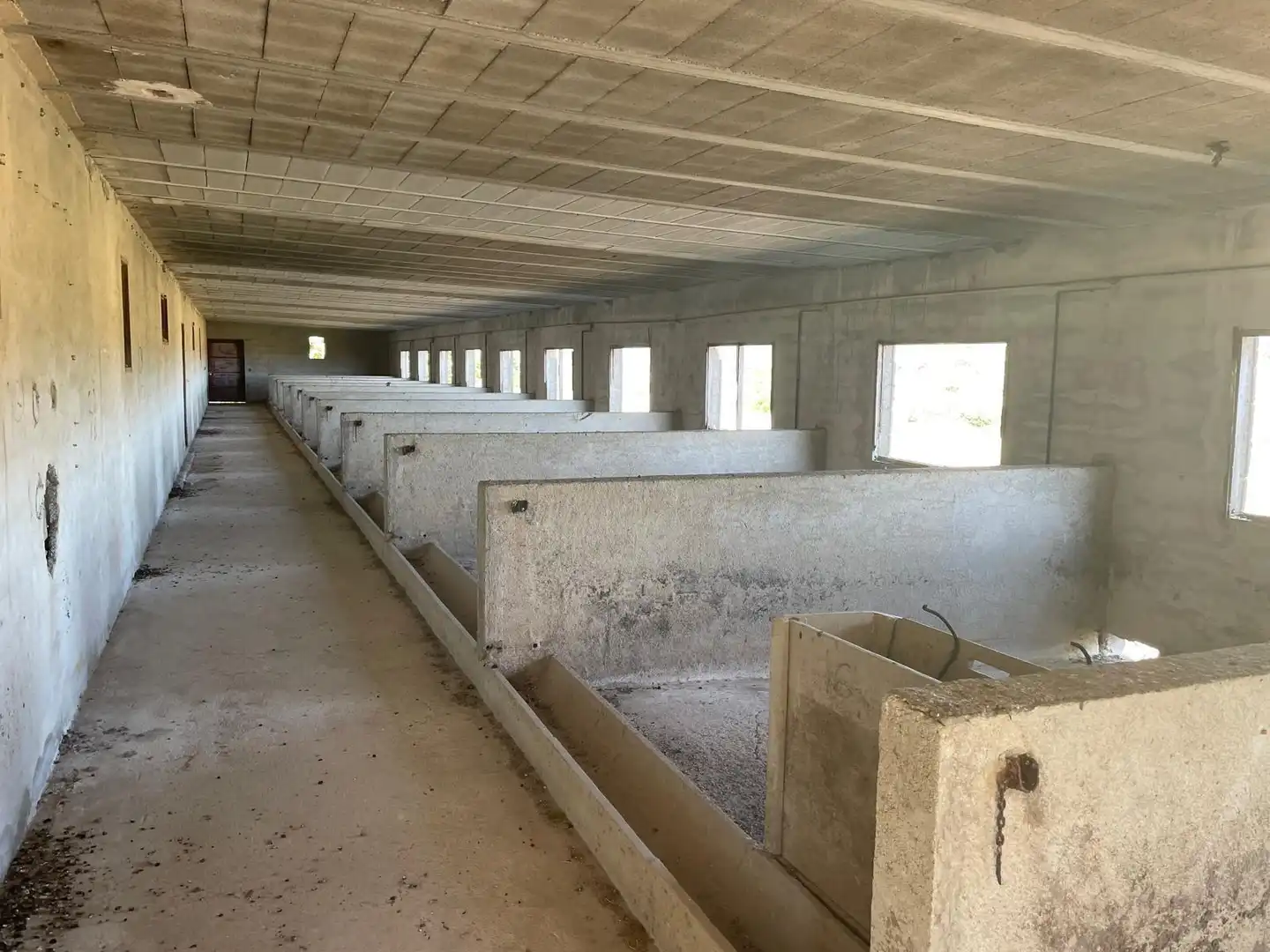 Vista exterior de Finca rústica en venta en Ariany con Jardín privado