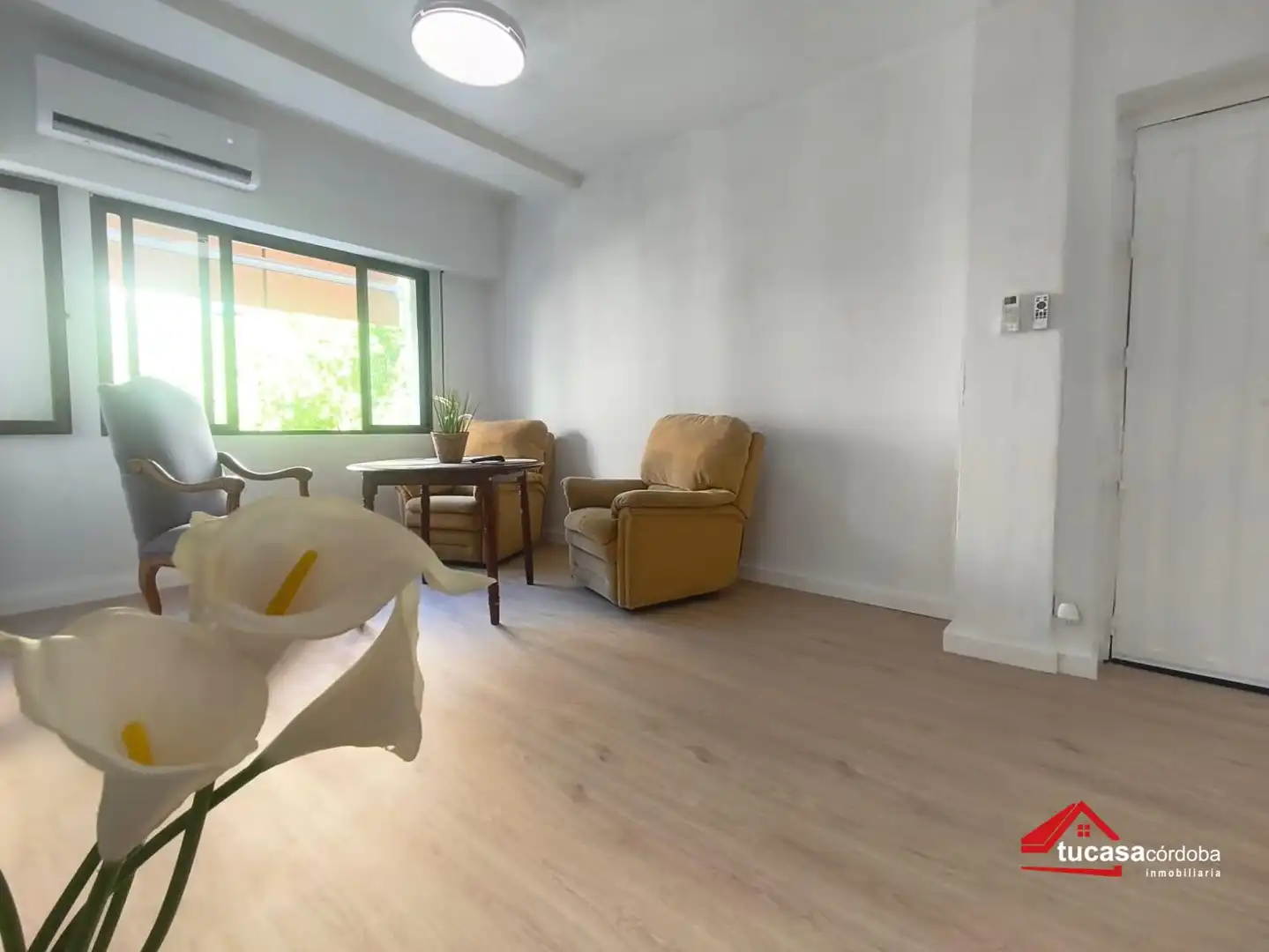 Sala d'estar de Pis en venda en Córdoba amb Aire condicionat, Calefacció i Terrassa