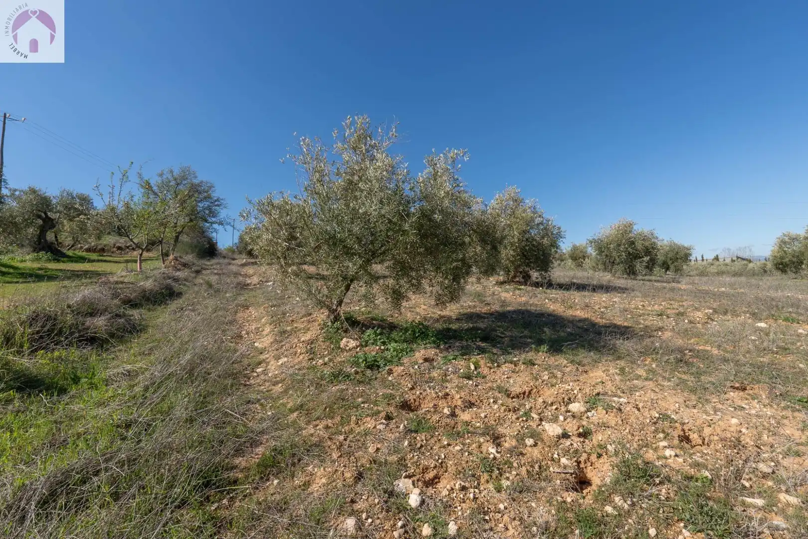 Terreni e lotti in vendita a Cogollos de la Vega, imagen 16