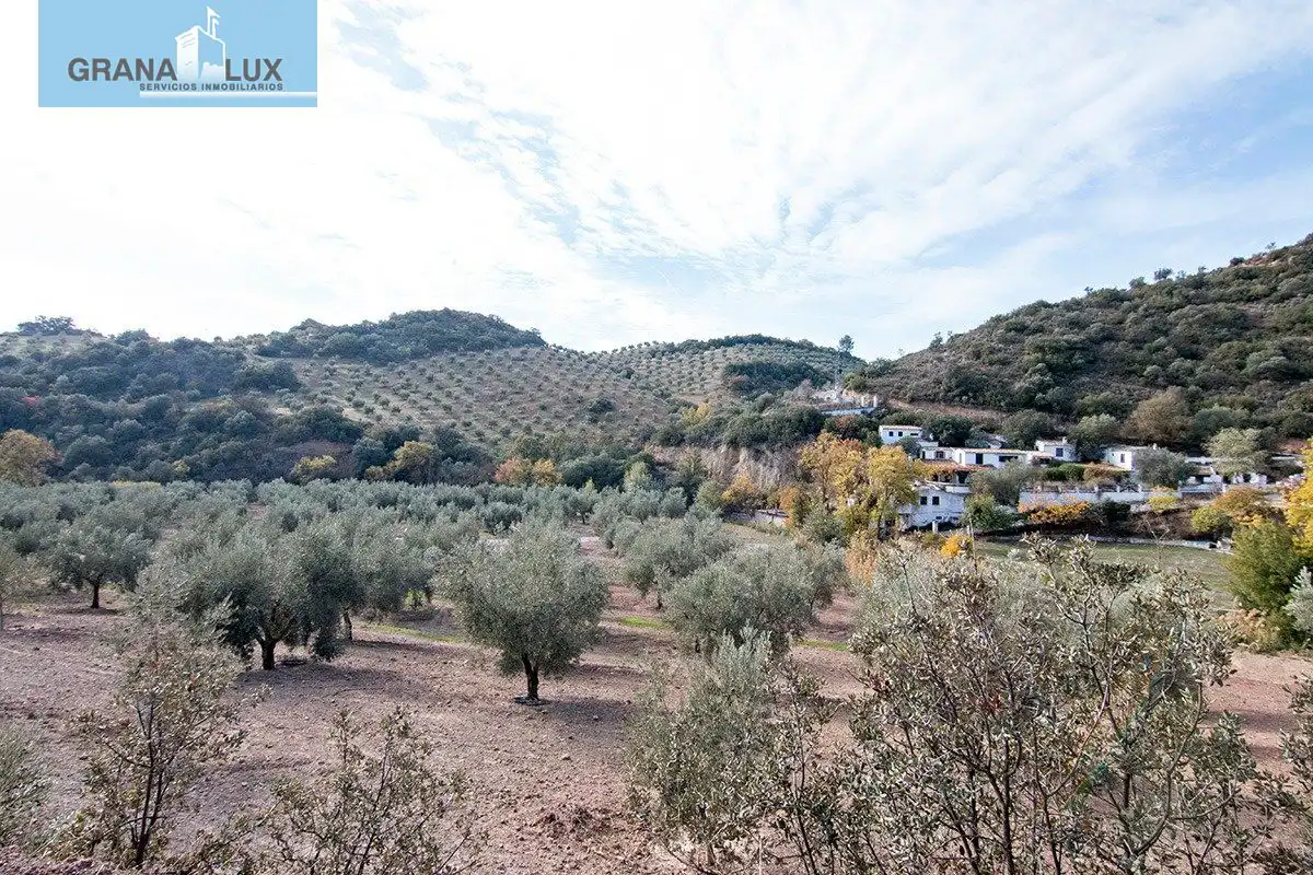 Country homes for sale in Loja