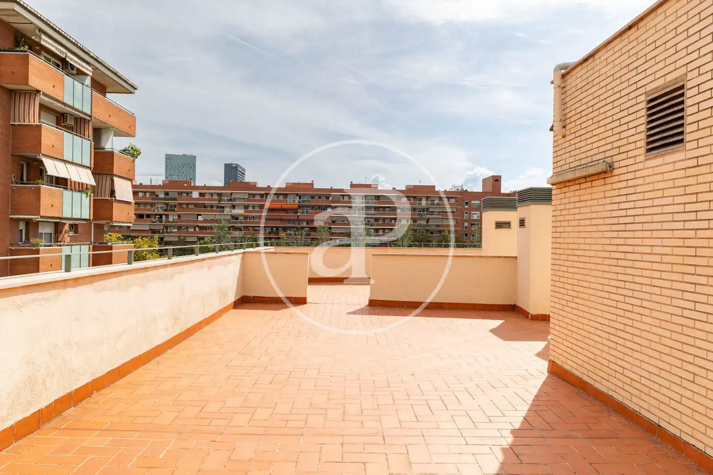 Fotografía 45