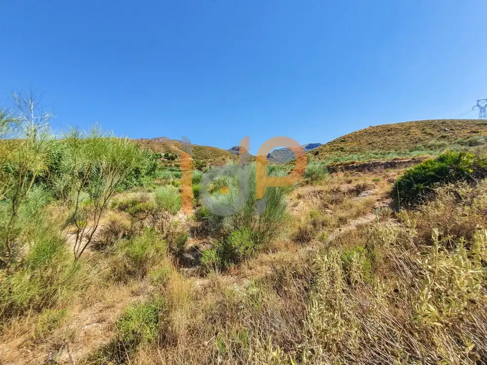 Terreno rustico in vendita a Turre, imagen 7