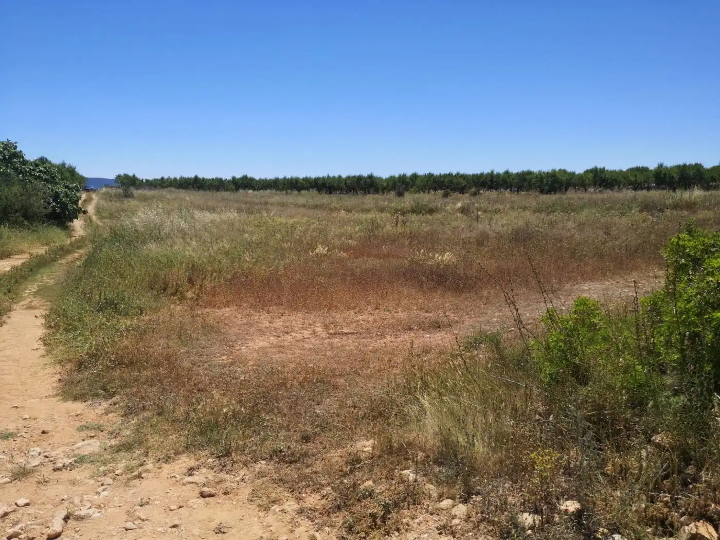 Terreny rústic en venda a Vall d'Alba, imagen 8