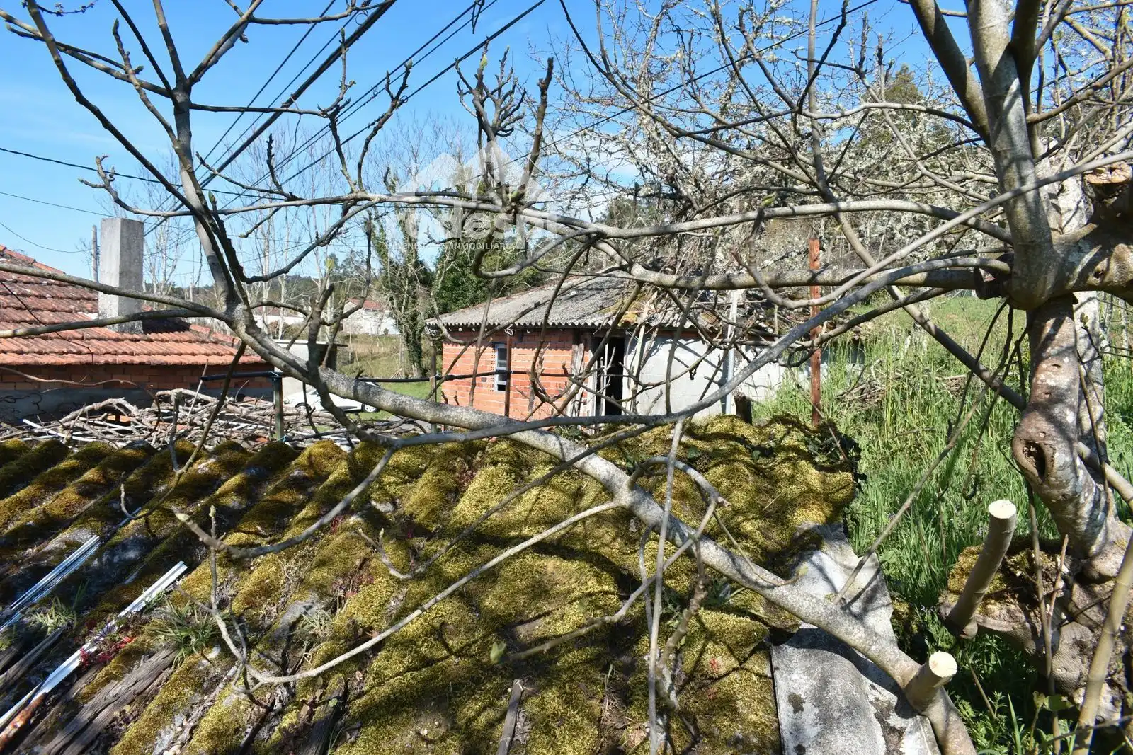 Jardín de Casa o chalet en venta en Verea con Trastero y Amueblado