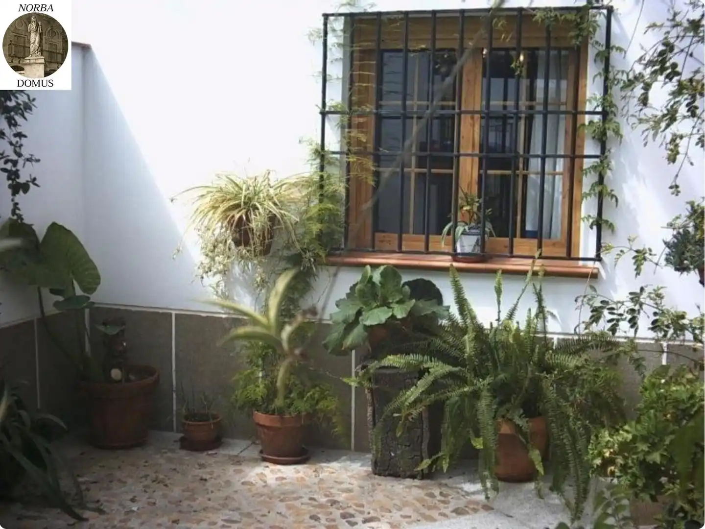 Garden of Country homes for sale in Talaván  with Air Conditioner, Heating and Furnished