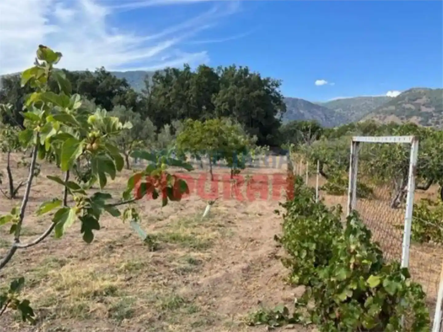Finca rústica en venta en Losar de la Vera