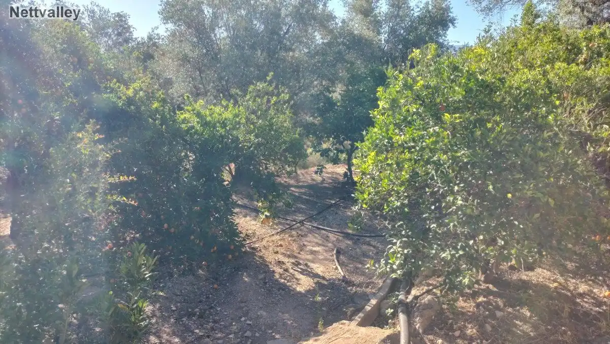 Terreni e lotti in vendita a LOMA DEL MEDIO, imagen 4